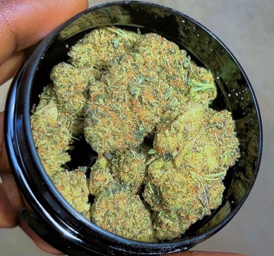 Blue fire strain