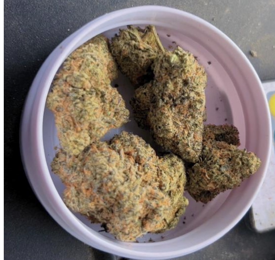 Gorilla glue Strain